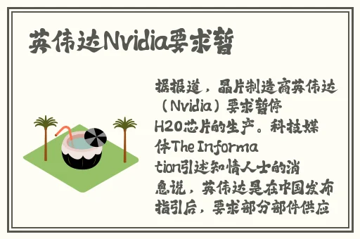 麻豆c媒破解网站